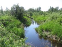Waskasoo Creek